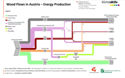 UNECE Austria Country Market Statement 2021